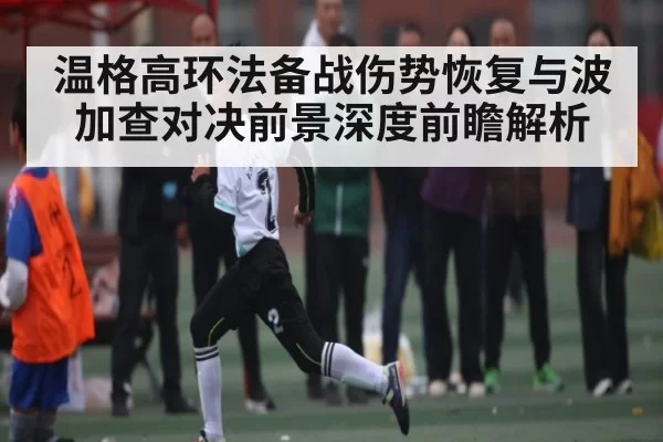 温格高环法备战伤势恢复与波加查对决前景深度前瞻解析